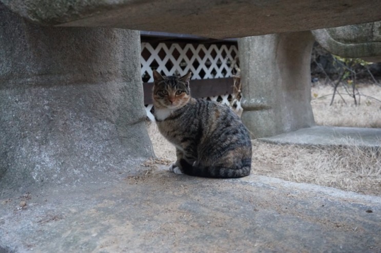 2015년 R&D 사업부 부서워크샵